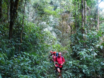 Imagem do turismo de Ibirama